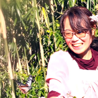 ミッチー・トーラス